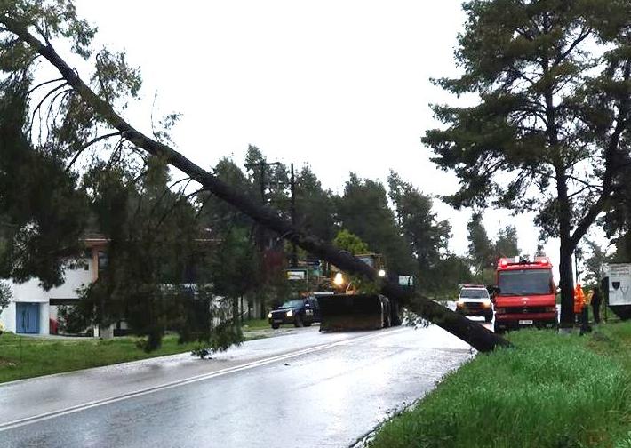 Χαλκιδική: Φοβούνται τις κατολισθήσεις οι αρμόδιοι  54