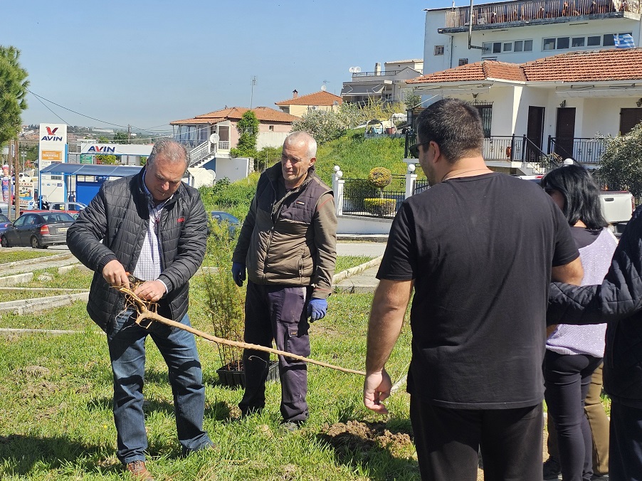 Επιτυχημένη δενδροφύτευση στη Νέα Καλλικράτεια