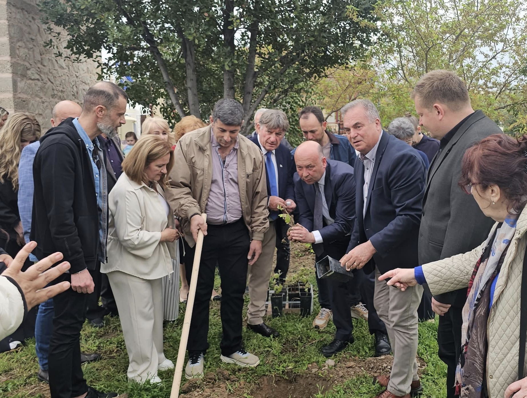 Φύτευση ελιάς σε ένδειξη φιλίας 