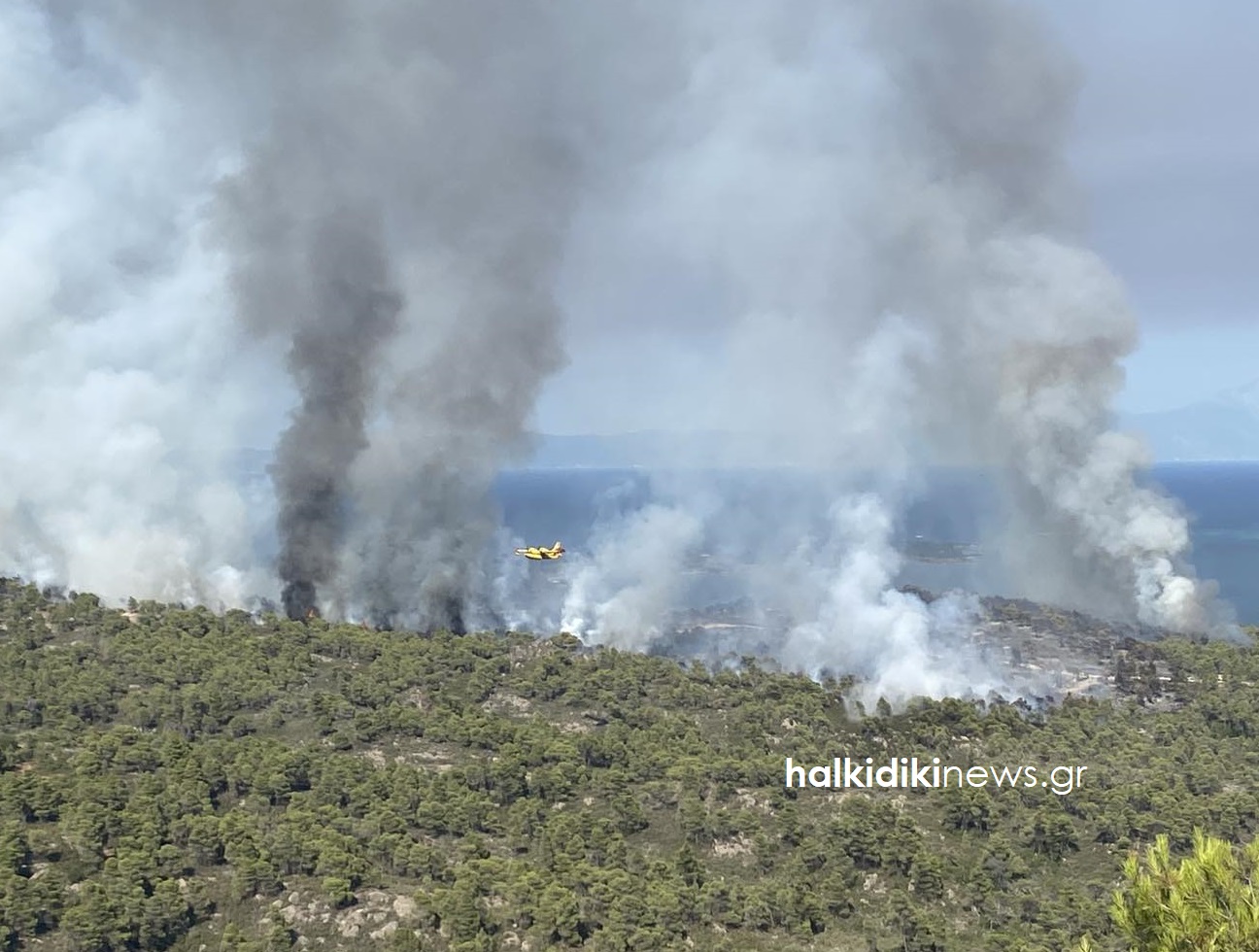 Δασική πυρκαγιά στη Χαλκιδική Δασική πυρκαγιά στη Χαλκιδική