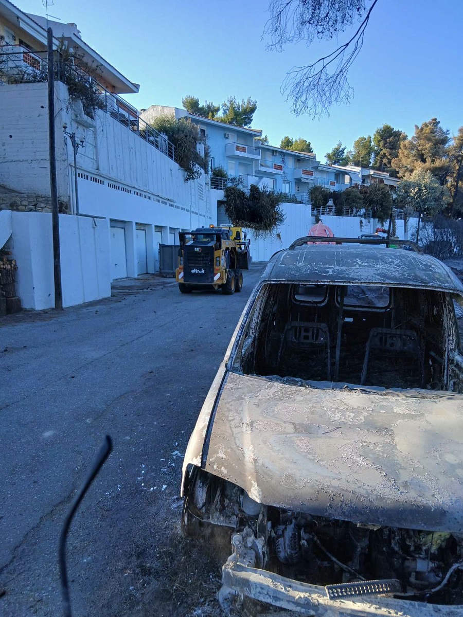 Καθαρισμός καμμένων στη Σίβηρη Καθαρισμός καμμένων στη Σίβηρη